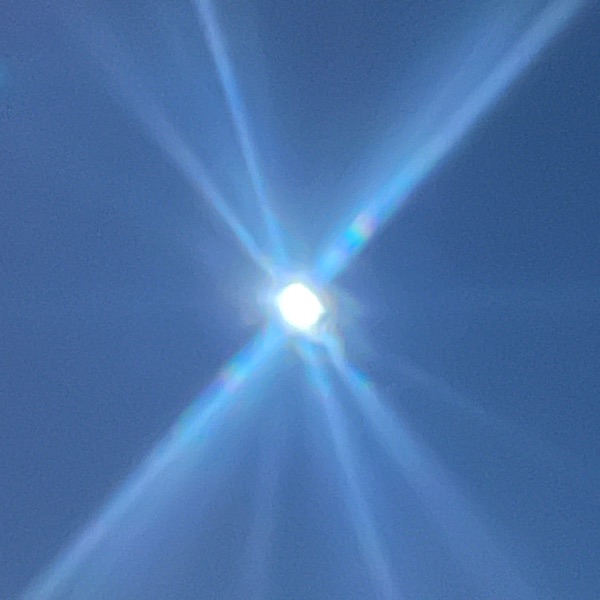 �g�T���v���h